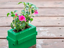 Macetas divertidas: cápsula taller