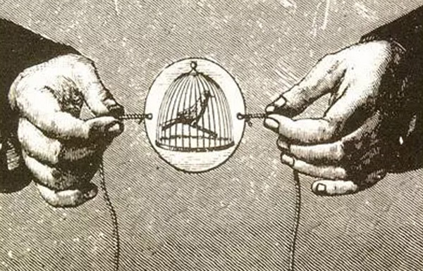 Artefactos del cine - Taumatropo: cápsula taller 