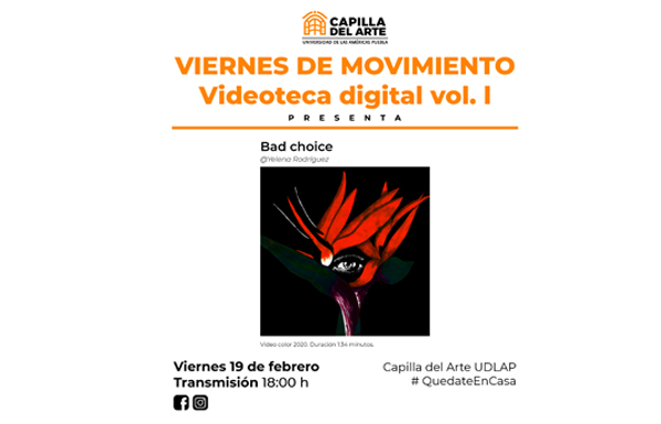  VIDEOTECA DIGITAL VOL. I : Artes Plásticas UDLAP