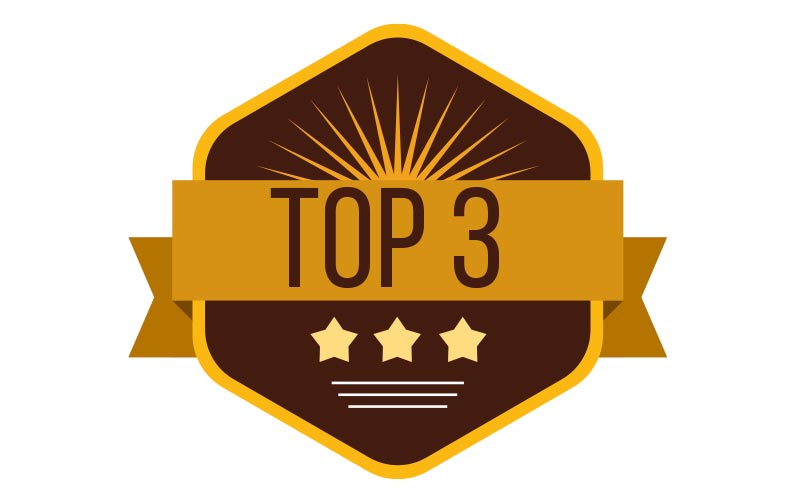 Posicionamiento a través de los años 2019 - UDLAP