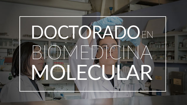 Oferta académica - Universidad de las Américas Puebla (UDLAP)