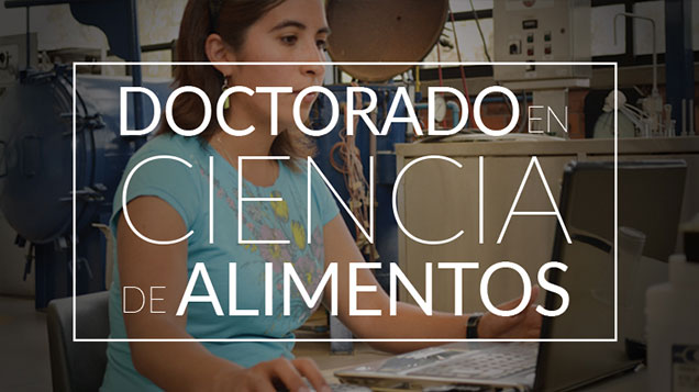 Oferta académica - Universidad de las Américas Puebla (UDLAP)