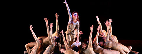 Imagen Campo Laboral