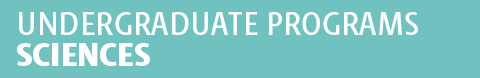 Undergraduate programsSchool of Sciences