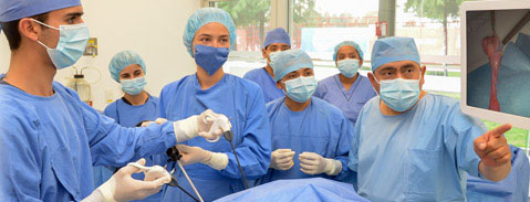 Imagen Campo Laboral