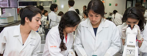 Imagen Campo Laboral