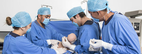 Imagen Campo Laboral