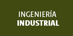 Ingeniería Industrial