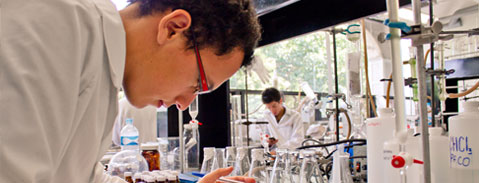 Imagen Campo Laboral