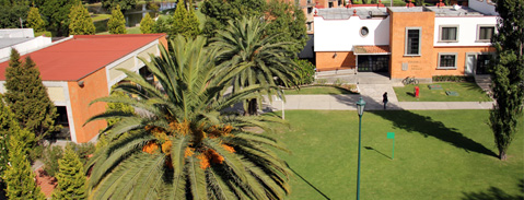 Imagen Plan de Estudios