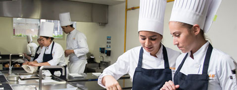 Imagen Plan de Estudios