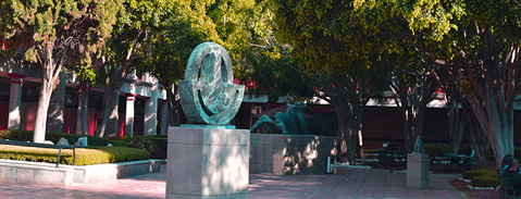 Imagen Campo Laboral