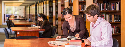 Imagen Campo Laboral