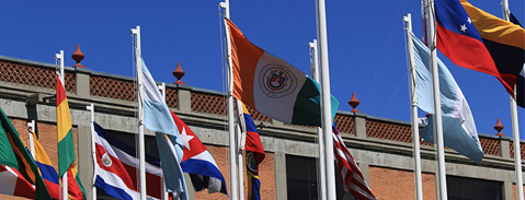 Imagen Campo Laboral