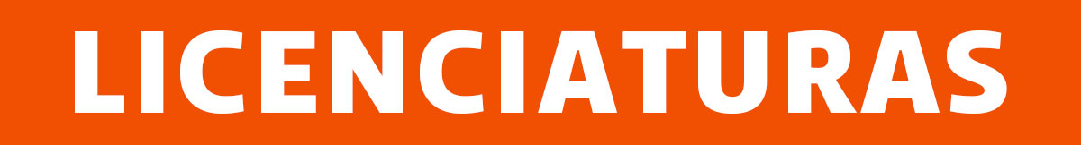 Undergraduate Programs