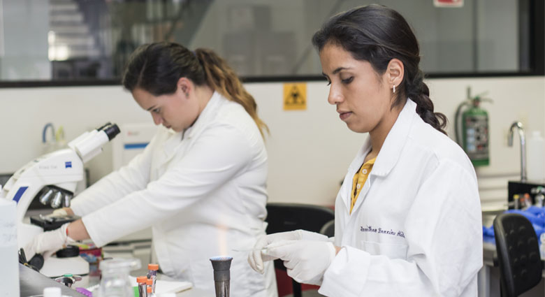 Imagenenes slider de cada licenciatura