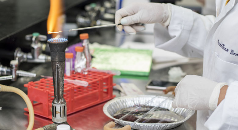 Imagenenes slider de cada licenciatura