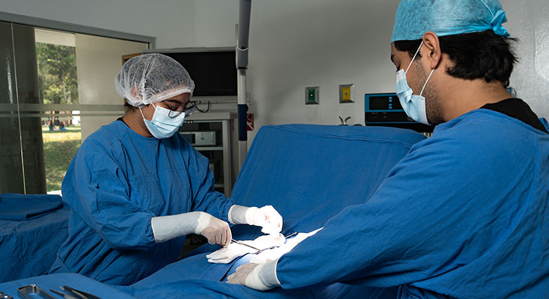 Imagenenes slider de cada licenciatura