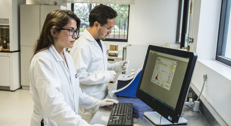 Imagenenes slider de cada licenciatura