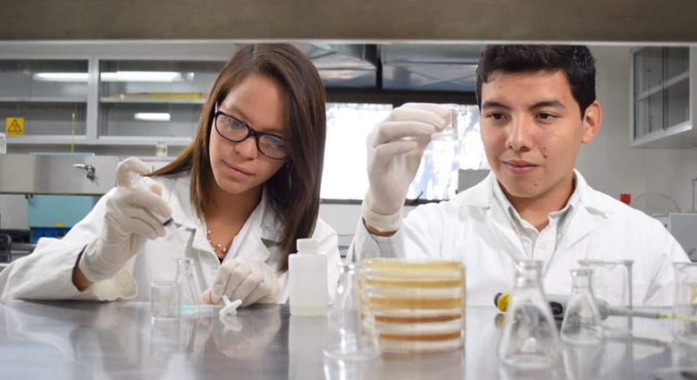 Imagenenes slider de cada licenciatura