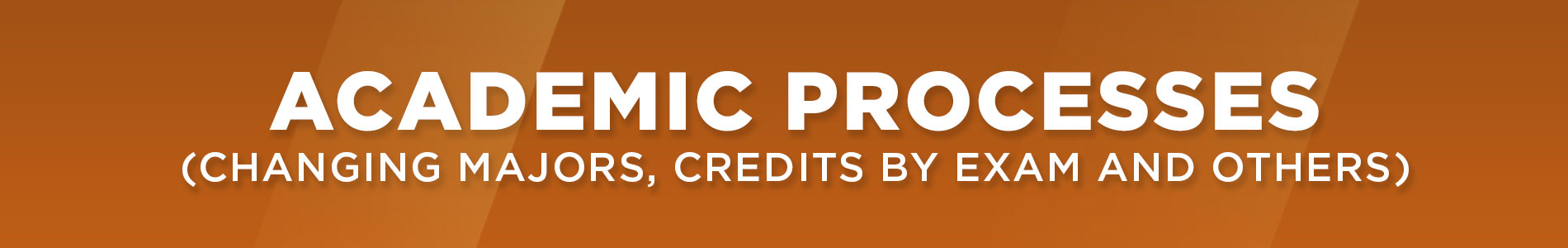 Universidad de las Américas Puebla