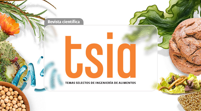 Revista TSIA UDLAP